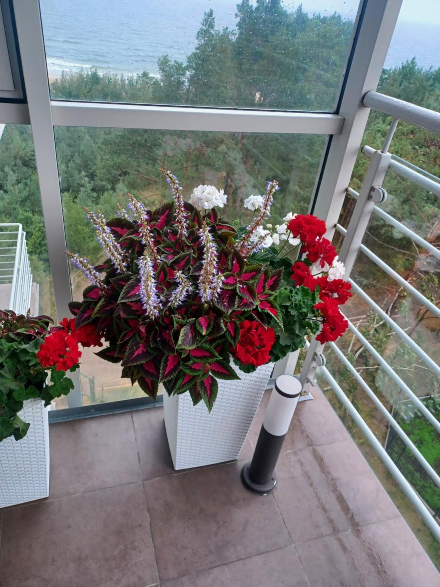 Apartament Z Widokiem Na Morze Dziwnówek Rom bilde