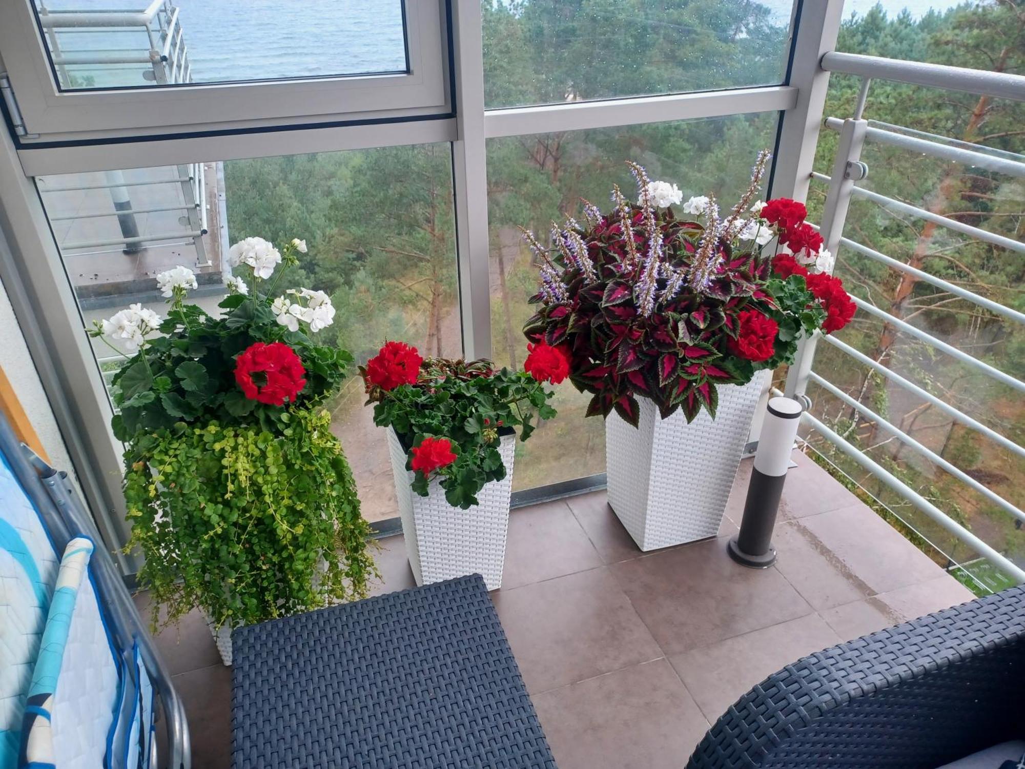 Apartament Z Widokiem Na Morze Dziwnówek Rom bilde